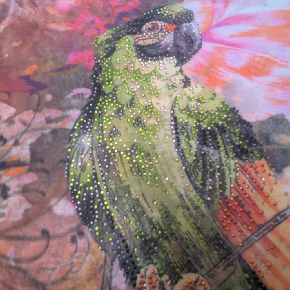 Chico's Colorful Parrot Art Print 3/4 Sleeve Blouse Chico Size 1 (Small/Medium)